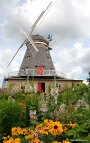 Am Mühlentag lädt der Zoo Stralsund mit seinen Partnern dazu ein, die Mahnkesche Mühle zu entdecken